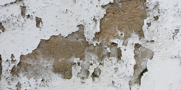 Pintar Fachadas de Empresas / Negocios / Locales Comerciales en Castelló · Pintura Antihumedad / Antimoho para Humedades / Moho