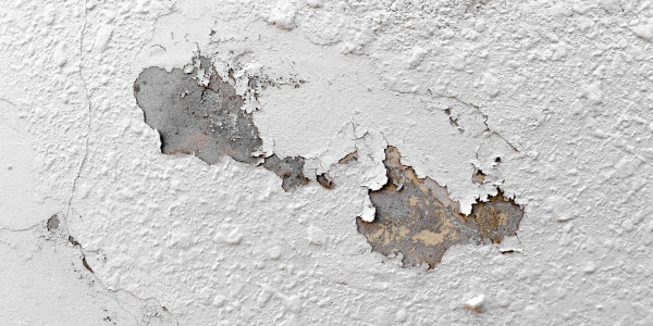 Pintar Fachadas de Naves Industriales, Fábricas y Almacenes Viver · Pintura Antihumedad / Antimoho para Humedades / Moho